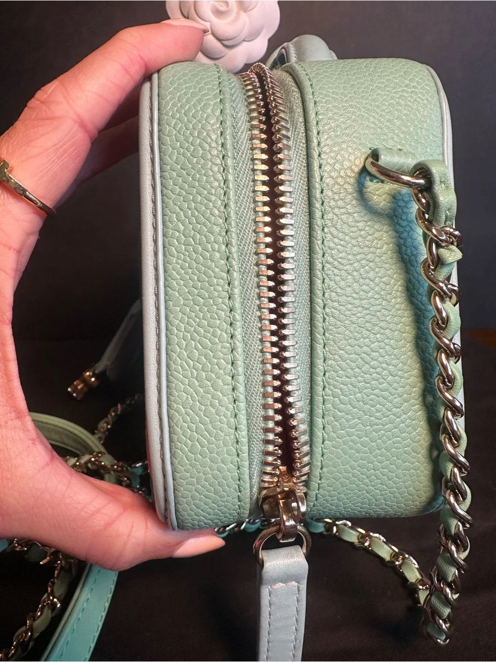 Chanel CC Filigree Small Vanity Case Pink Green Caviar Leather Crossbody